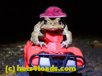 /home//u458753944/public_html/sourcegallery///////////////////////////////McKaig Nature Center/2020-10-11/PA110713.JPG